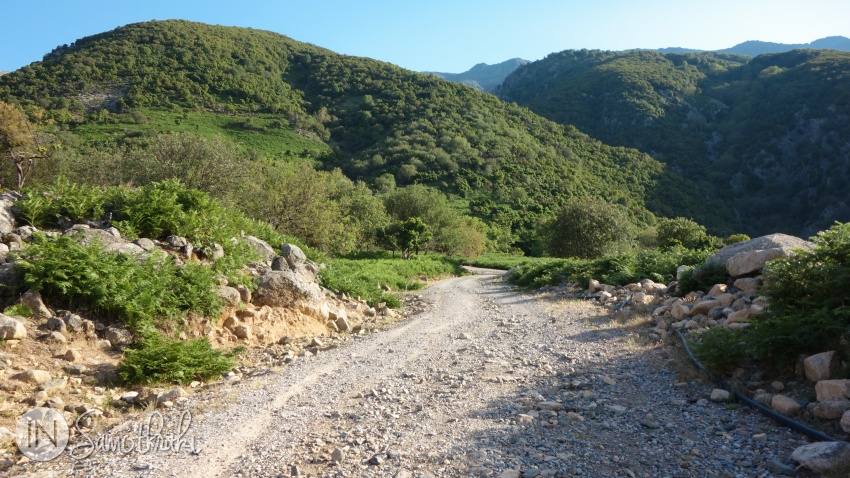 Din șoseaua principală, drumul urcă ușor spre poalele muntelui.